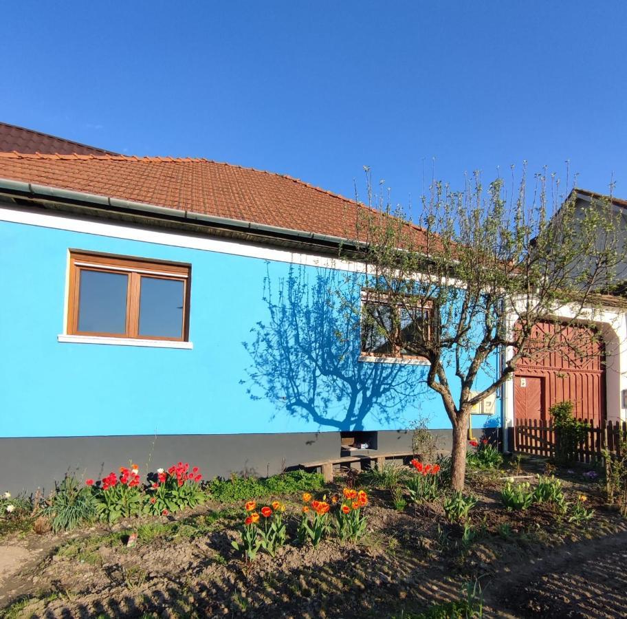 Blue Home Avrig Luaran gambar
